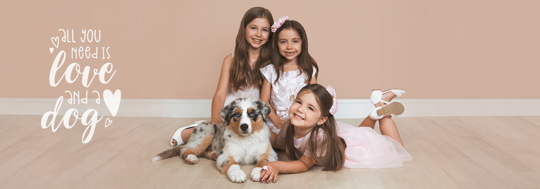 Pet Photography Tips