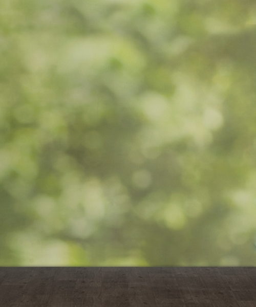 Outdoor Bokeh Photography Background from JCPenney Portraits