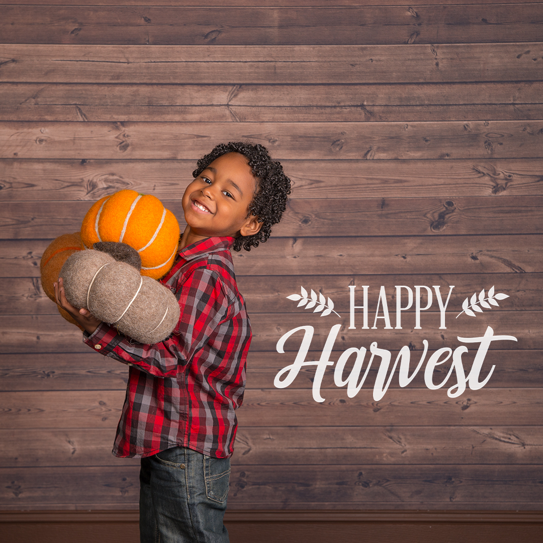 Harvest Photography Theme