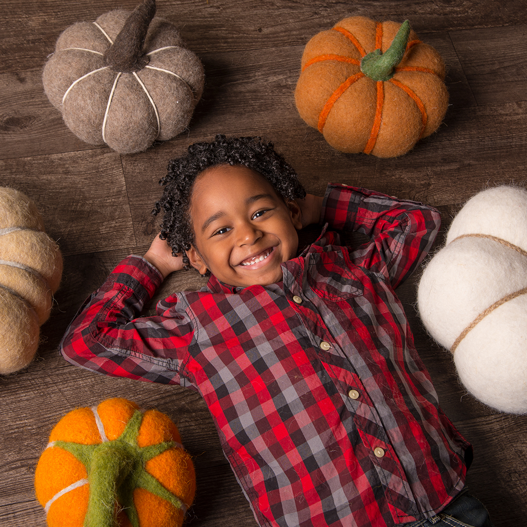 Harvest Photography Theme