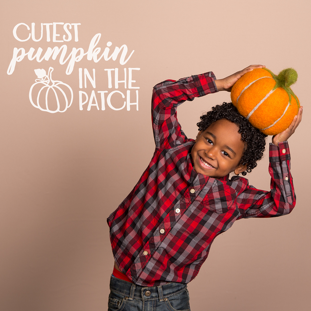 Harvest Photography Theme