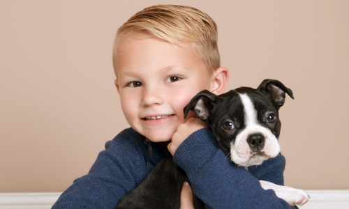 7 Steps to make your pet photography session a success