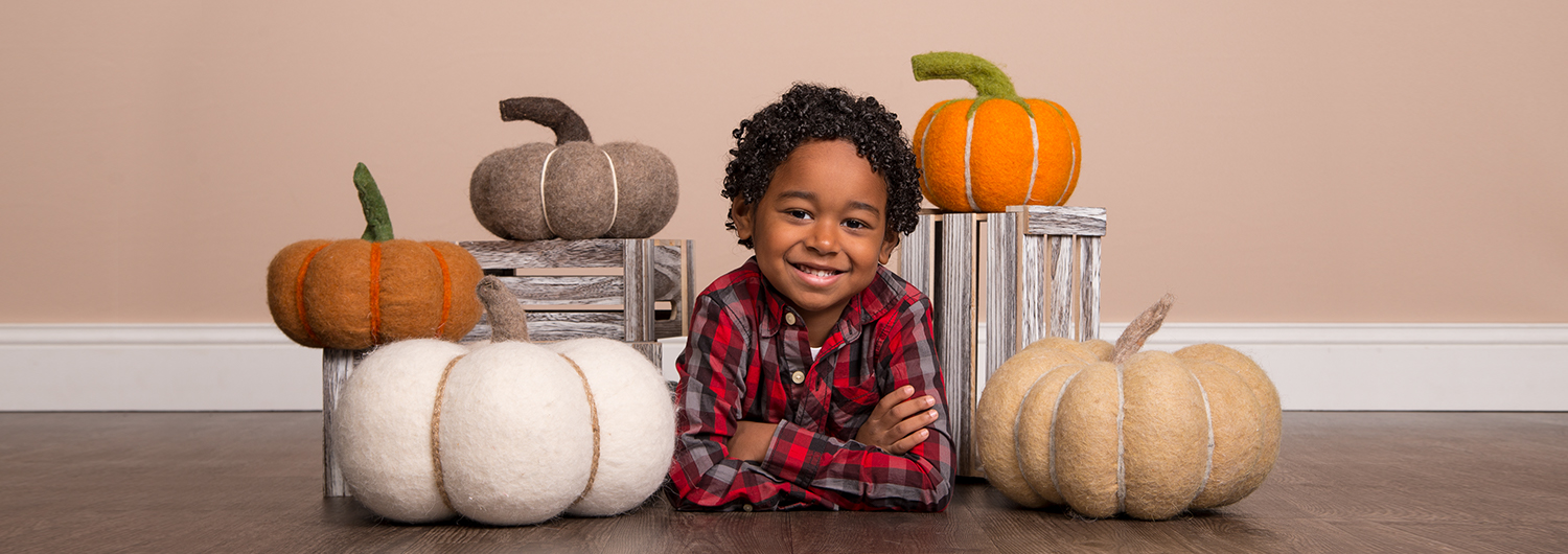 Harvest Photography Theme