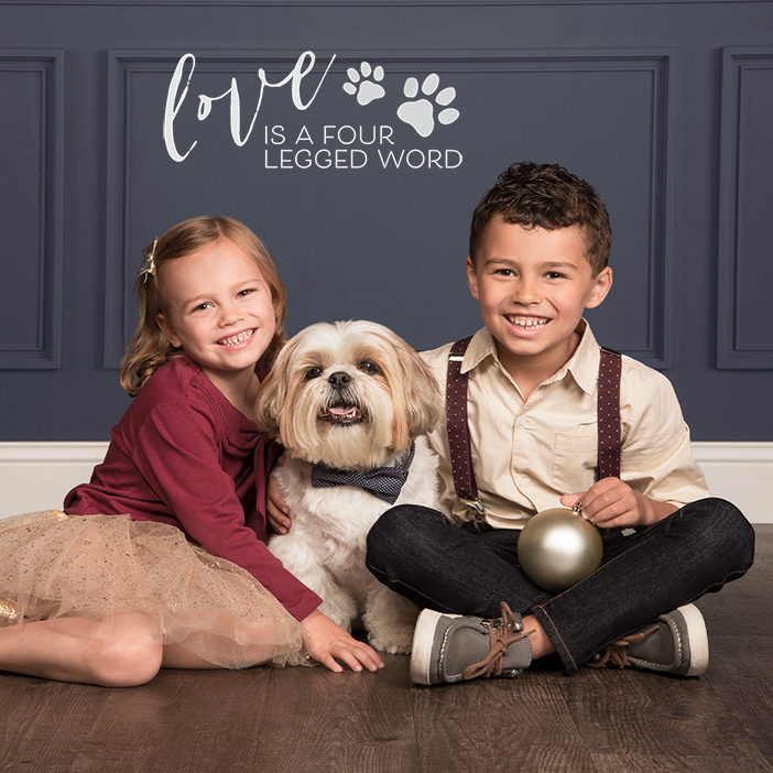 Schedule your holiday pet session today!